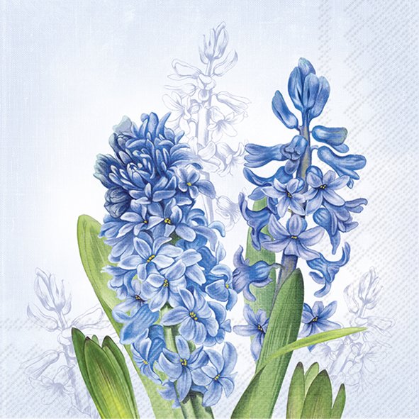 Servietter - lunsj - 33x33cm - Hyacint Blue lunch