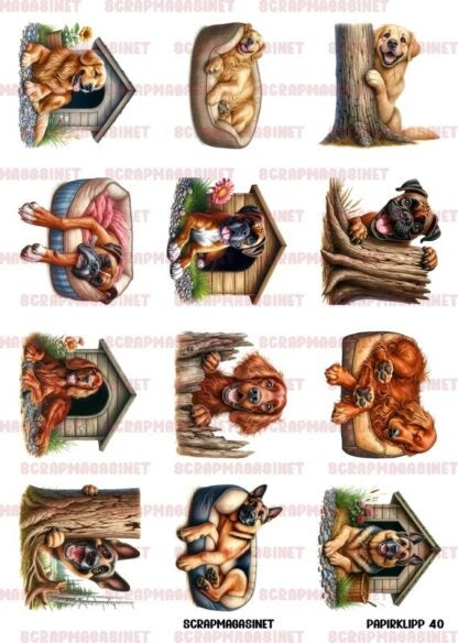 NYHET! Motivark/ klippark / papirklipp 40 - Golden retriver boxer irsk setter shæfer A4