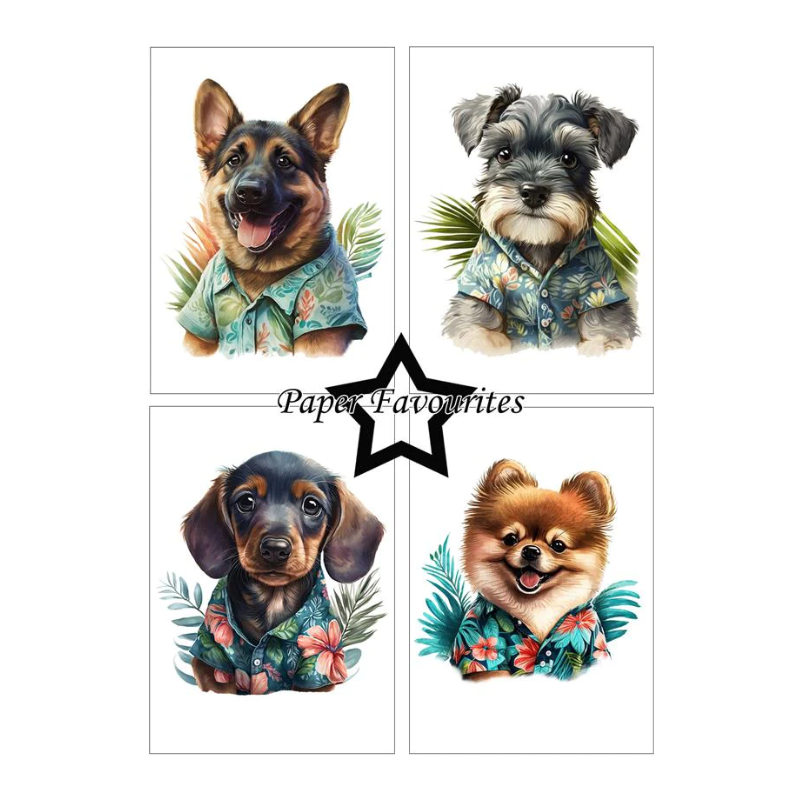 Paper Favourites - Summer Dogs A5 Paper Pack PFA119
