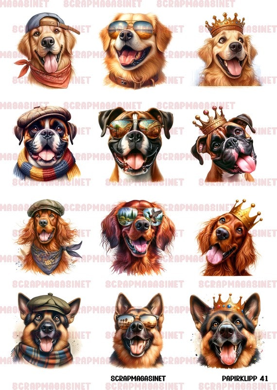 NYHET! Motivark/ klippark / papirklipp 41 - Golden retriver boxer irsk setter shæfer A4