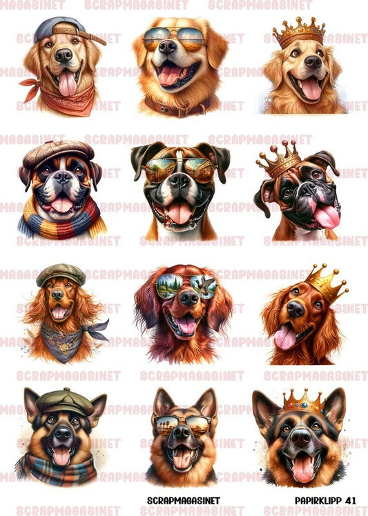 NYHET! Motivark/ klippark / papirklipp 41 - Golden retriver boxer irsk setter shæfer A4