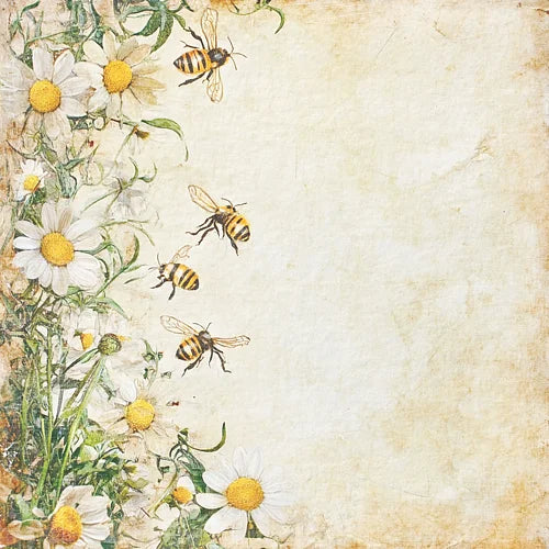 NYHET! Reprint - Summer Collection Paperpack - 12x12