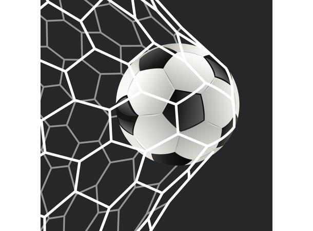 Servietter - lunsj - fotball i mål - Lunsjserviett 20 stk 3-lags 33x33cm