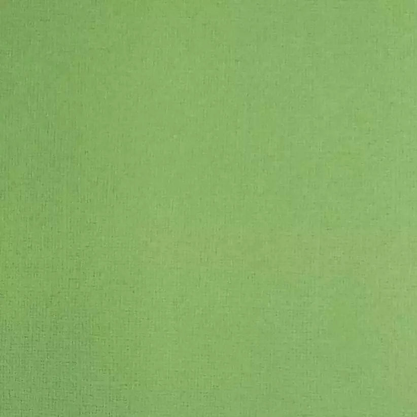 Reprint - ensfarget kartong - Grass Green - gress grønn -12x12 - 190gms