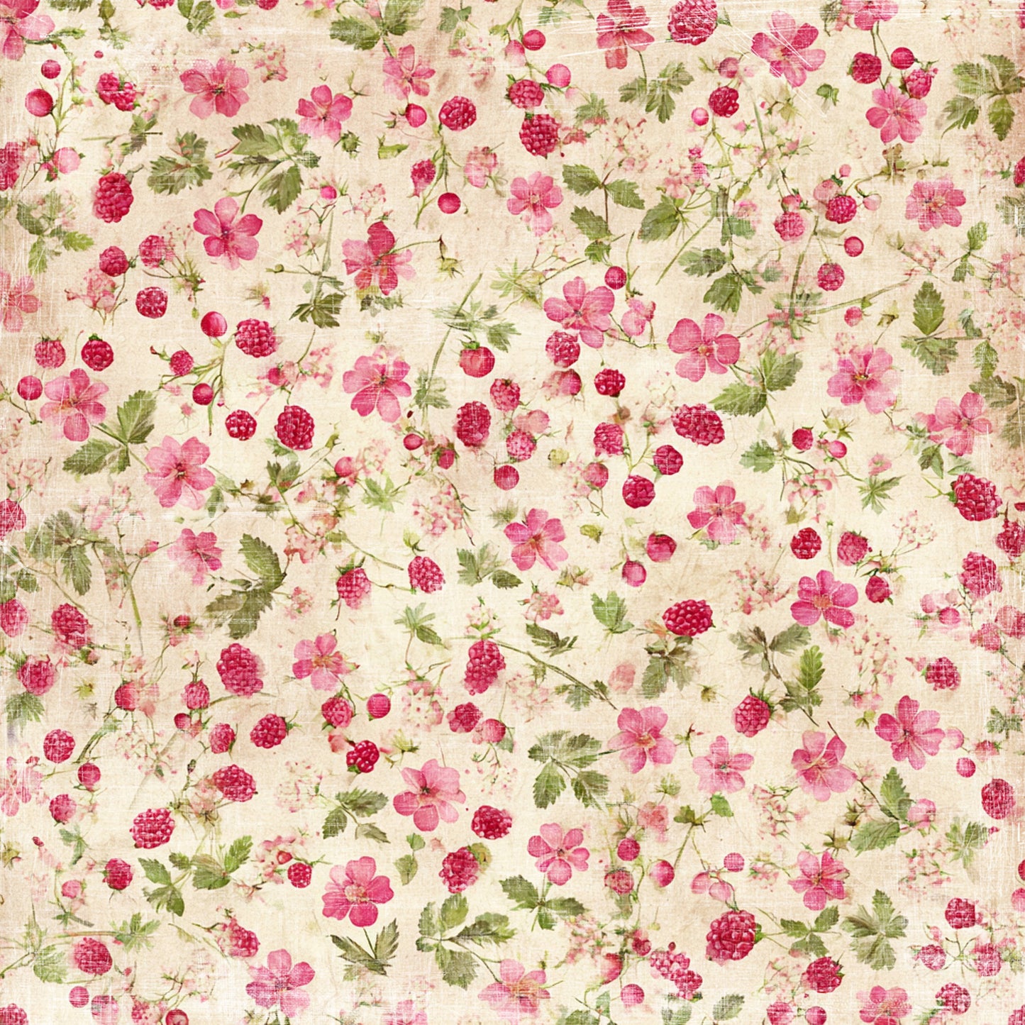 NYHET! Reprint - Reprint - Summer Garden -12x12- Raspberries - RP0752