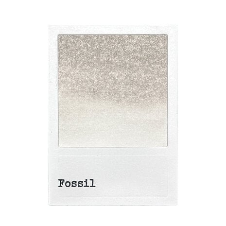 Ranger 49 & Market Dye Ink Pad - Fossil