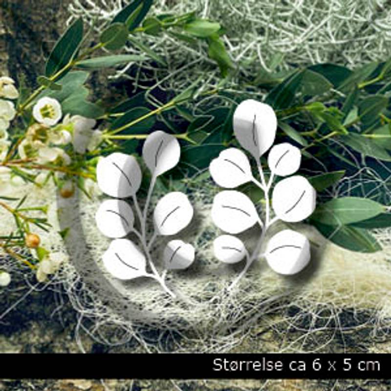 Papirdesign die - Eucalyptus - PD 01125