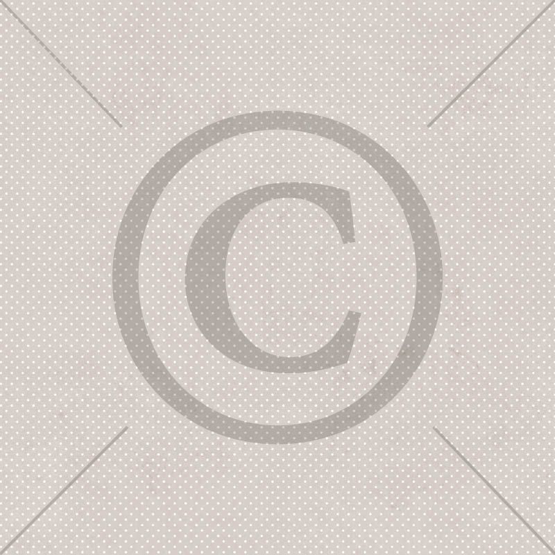 NYHET! Papirdesign Mønsterark 12´x12´ - Kvitter og sang - PD1611