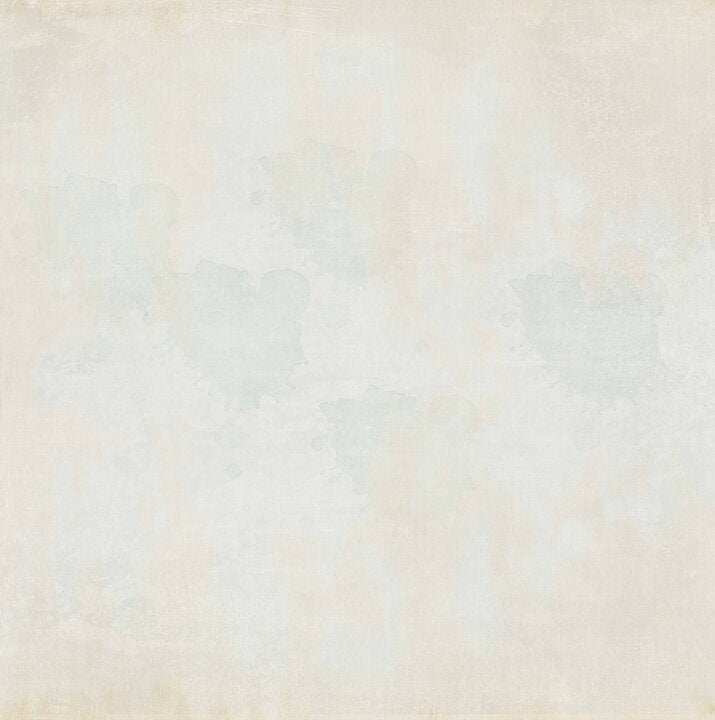 Reprint - Dinos - 12x12 - Dinos Tags