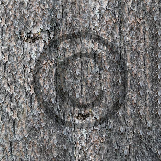 Papirdesign - Til deg og dine - Furubark - 12x12 mønsterark