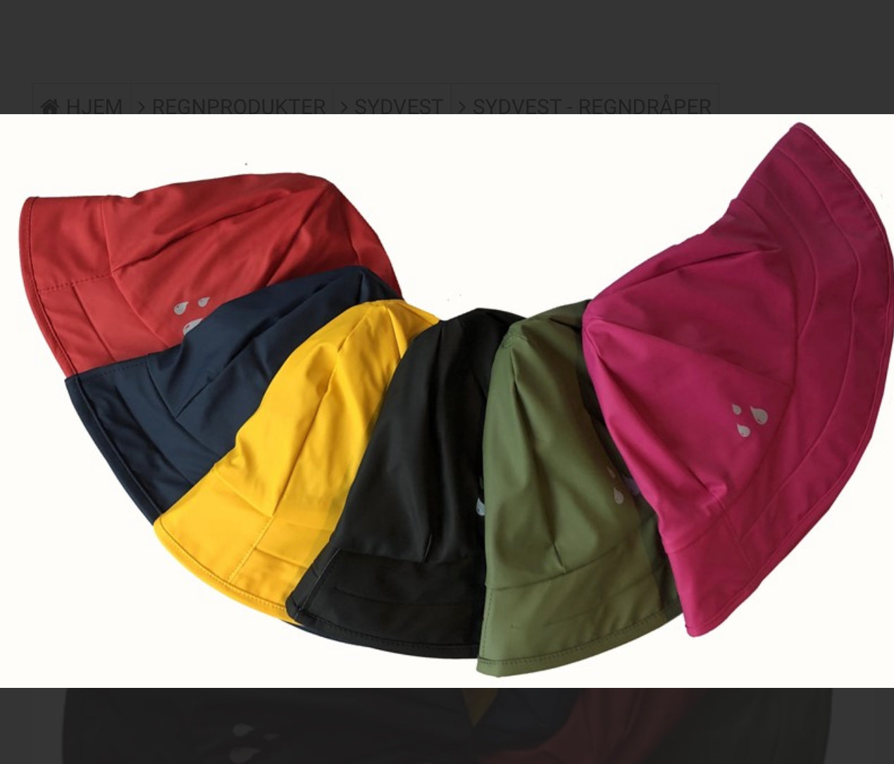 Sydvest med fôr og refleks - flere farger å velge i - blå/gul/svart/rød/grønn/rosa