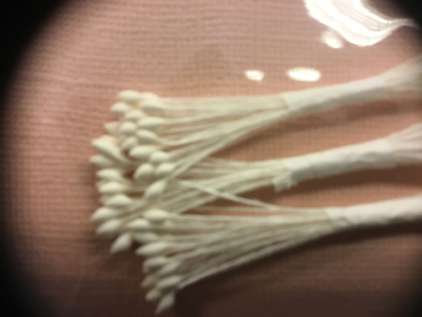 Støvbærer matt hvit