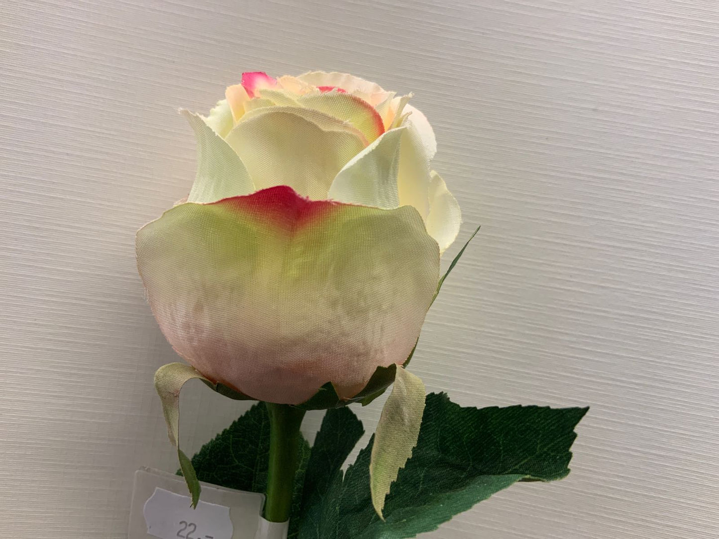 Roser silkeblomst hvit med rosa detalj