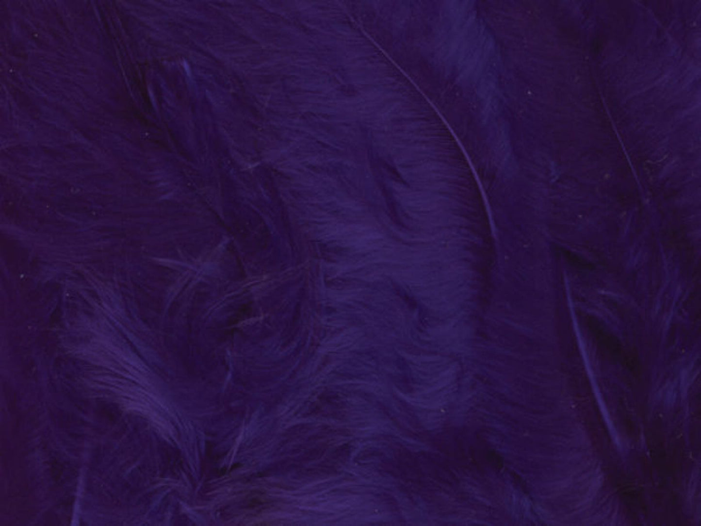 Fjær mørk lilla