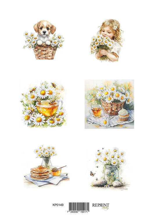 NYHET! Reprint- summer 2- Klippark A4 - KP0149