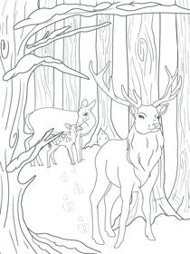 Crafters Companion - Card Front Colouring Pads - Winter scenes