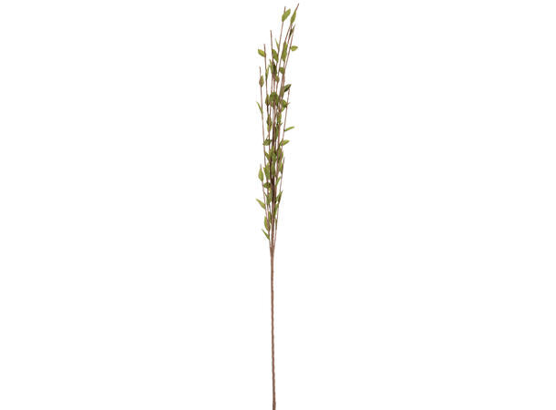 Kvist med grønne små blader - 112cm