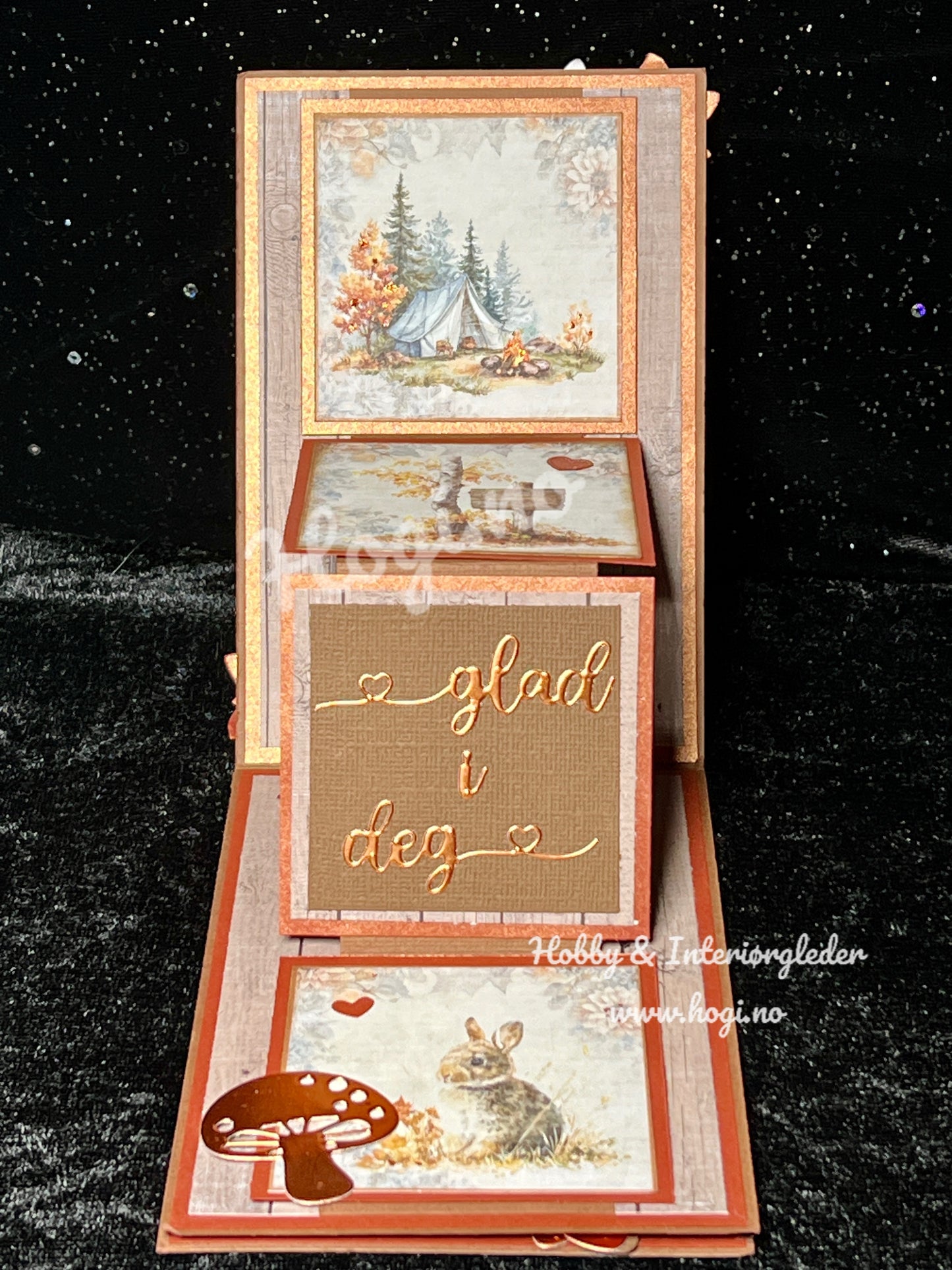 Hobbypakke:  «Gøyalt og stilig topphengslet kort»
