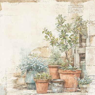 NYHET! Reprint  -  Paperpack Reprint - The Pottery Collection - 6x6