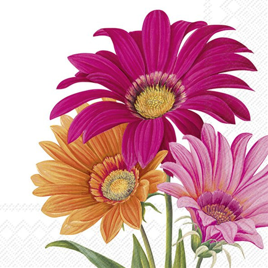 Servietter - lunsj - 33x33cm - Joyful Gerbera White Lunch