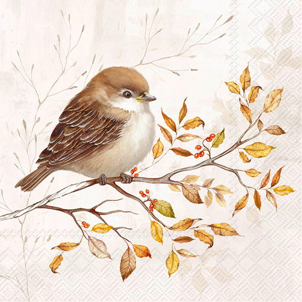 Servietter - lunsj - Autumn Melody Cream Lunch - Lunsjserviett 20 stk 3-lags 33x33cm