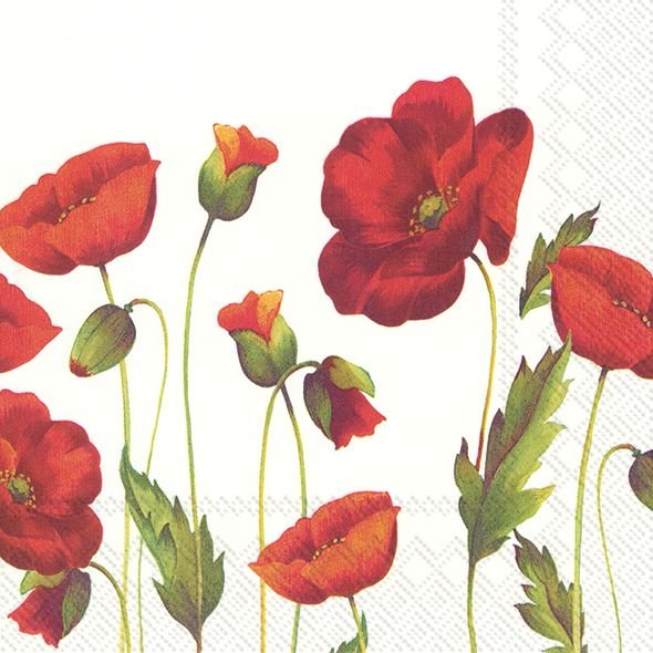 Servietter - lunsj - 33x33cm - Poppy White Lunch