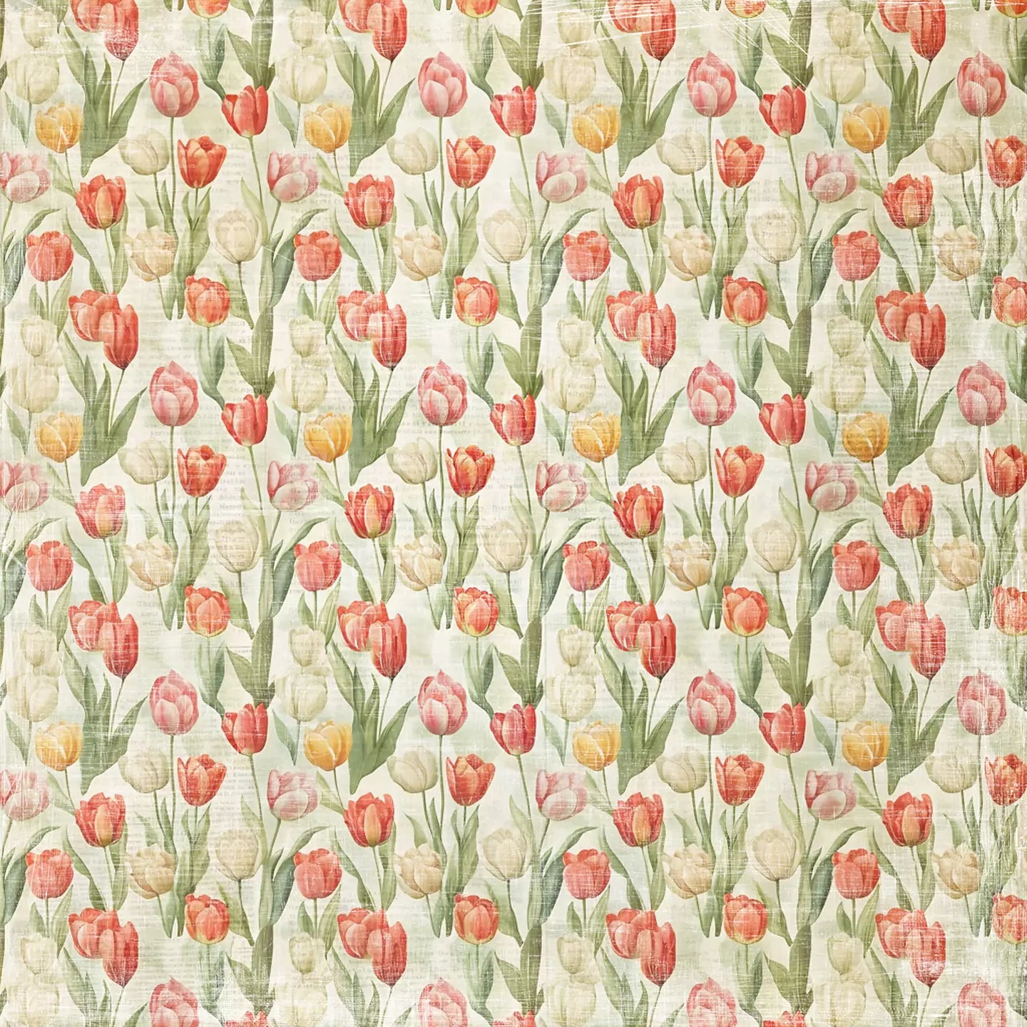 NYHET! Reprint- Hello easter tulips - rp0682 - 12x12