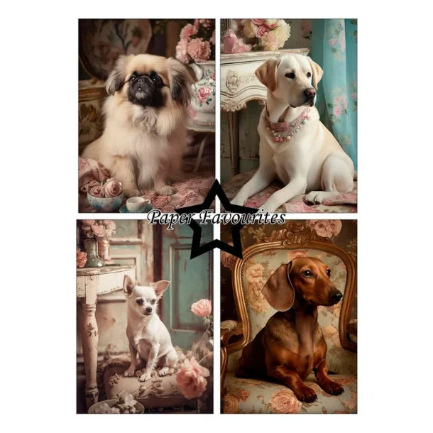 Paper Favourites - Shabby dogs  A5 Paper Pack PFA126