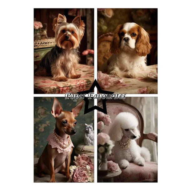 Paper Favourites - Shabby dogs  A5 Paper Pack PFA126