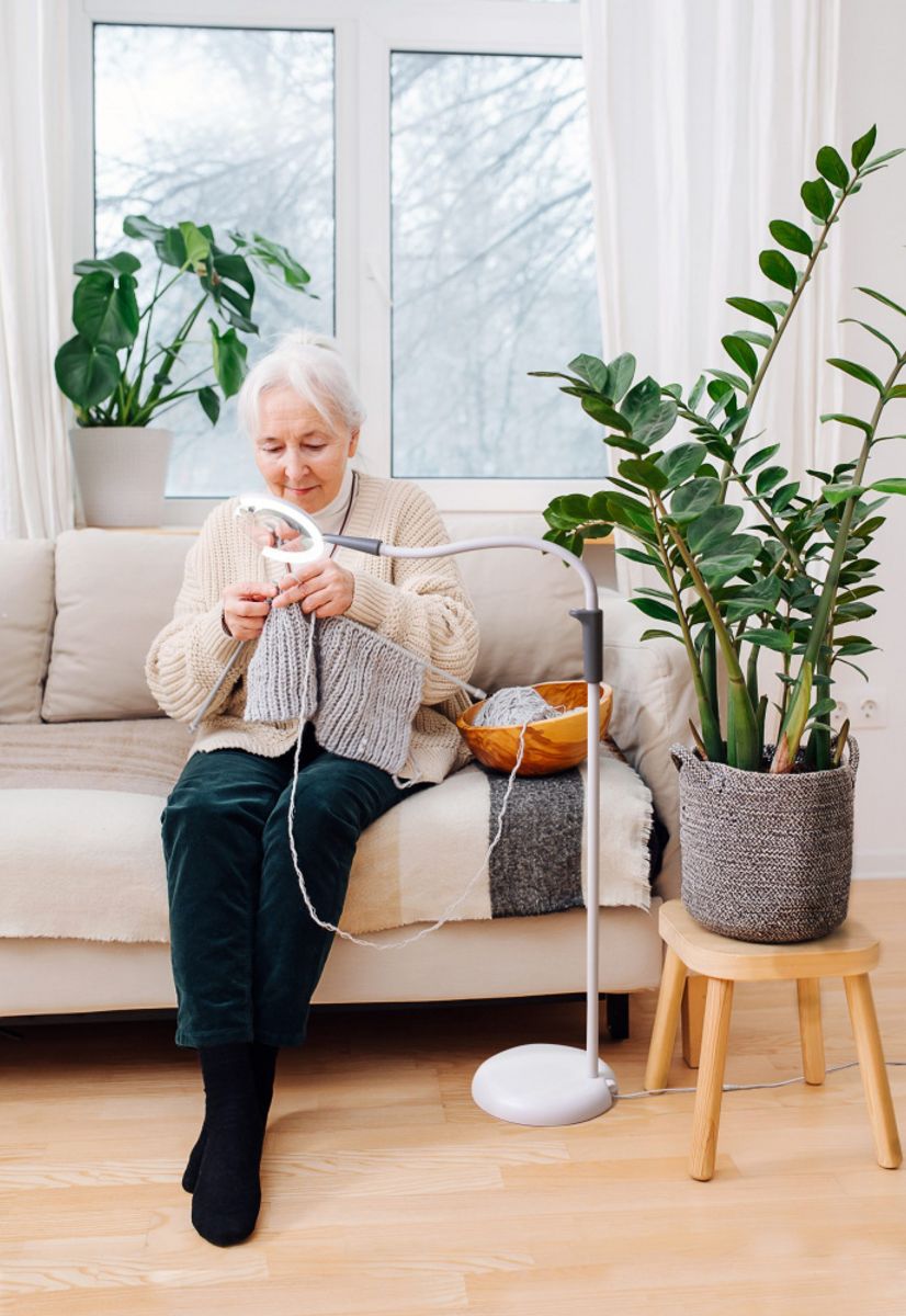 Daylight Magnificent Pro – 3 i 1 forstørrelseslampe dagslys