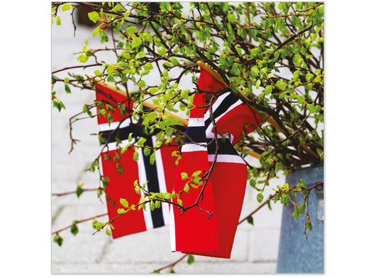 Serviett lunsj 20 stk 17. mai flagg bjørk Norge Lunch