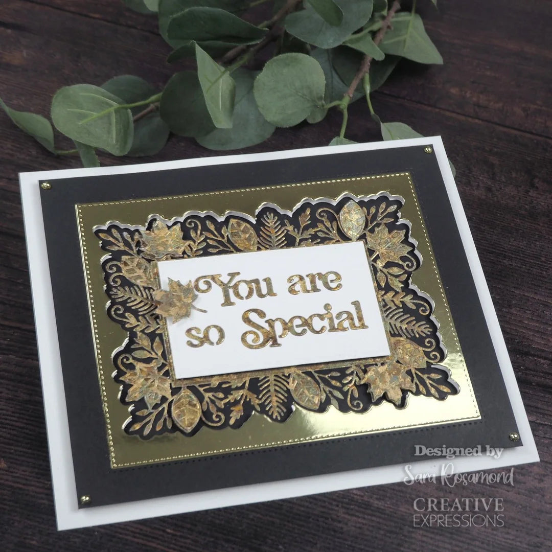 Creative Expressions Craft Dies Frames & tags-leafy rectangle