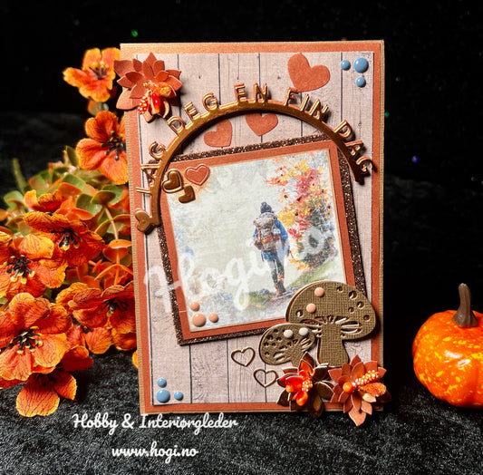 Hobbypakke: «Gøyalt og stilig topphengslet kort»