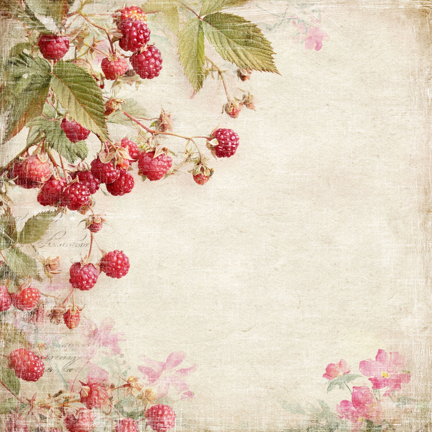 NYHET! Reprint  - Reprint - Summer Garden -12x12- Raspberries - RP0752