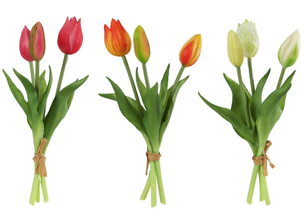 Tulipan bukett 25cm - Velg farge :  rød - oransje - hvit