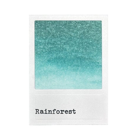 Ranger 49 & Market Dye Ink Pad - Rainforest