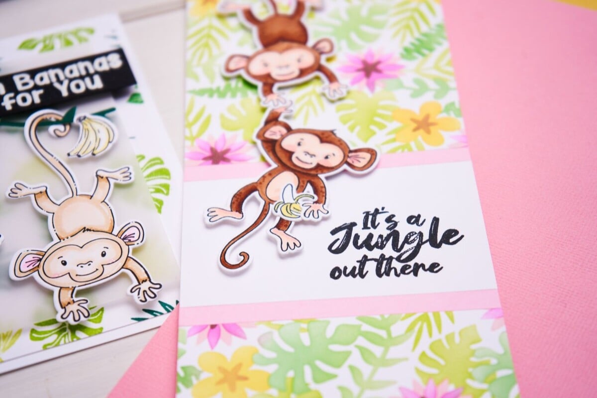 Sizzix thinlits - Clear Stamps by Catherine Pooler Going Bananas (15pcs) (666653)