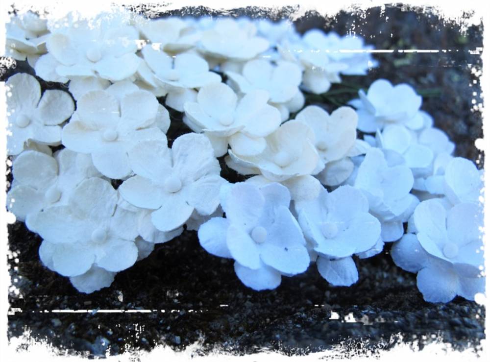 Papirdesign søte blomster - Hvit/ Beige