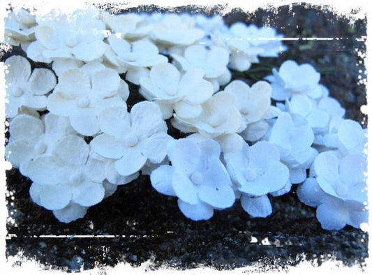 Papirdesign søte blomster - Hvit/ Beige