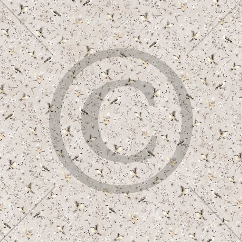 NYHET! Papirdesign Mønsterark 12´x12´ - Kvitter og sang -  PD1611