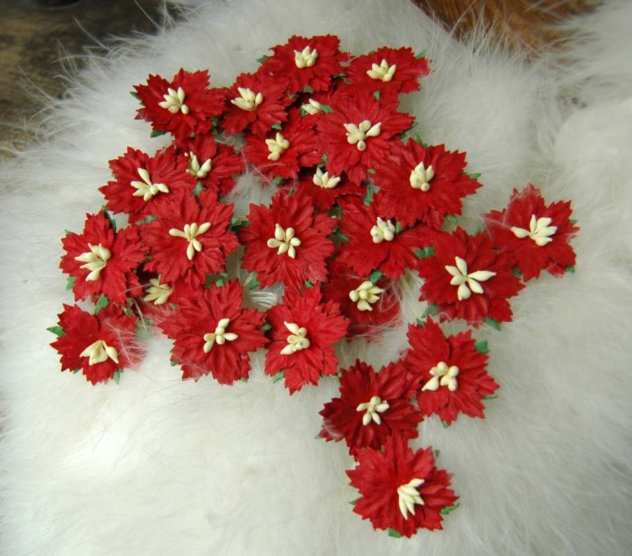 Julestjerne/juleblomst, rød, Ø20mm