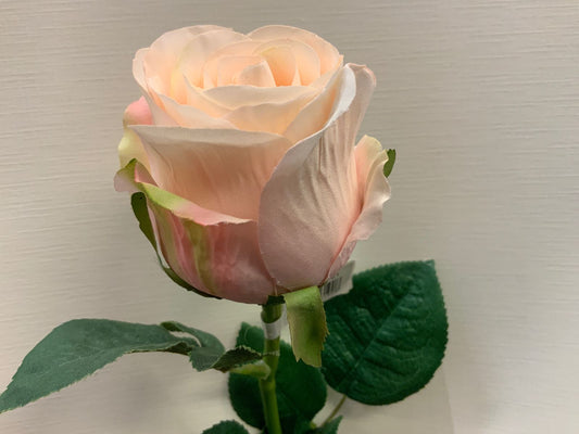 Roser lys rosa silkeblomster