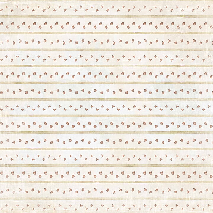 Reprint - Dinos - 12x12 - Dinos Cards