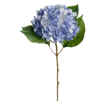 Blomst Hortensia Blå 66cm