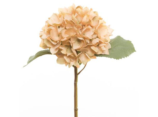 Blomst Hortensia Krem hvit 50 cm