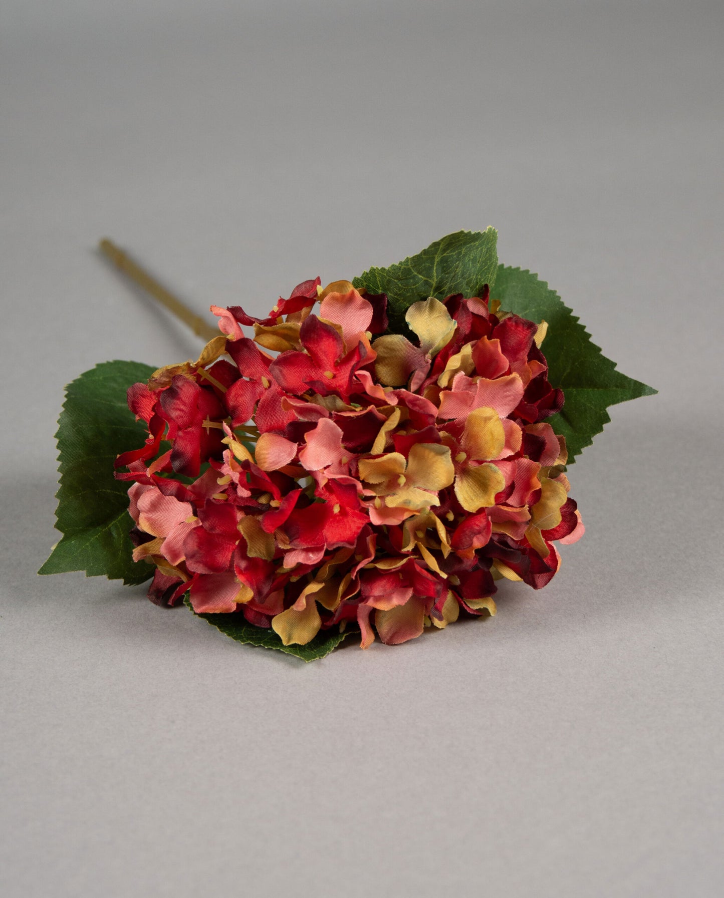 Blomst Hortensia Rød/Grønn 66cm