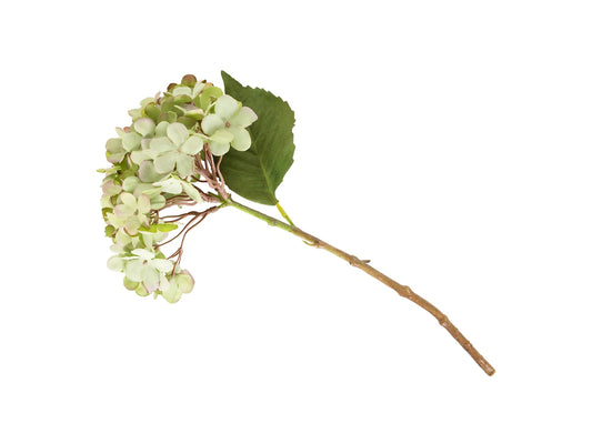 Blomst Hortensia Grønn 46cm
