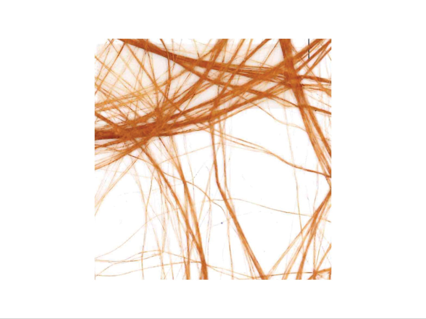 Sizotwist bordløper - orange , 30cmx5m