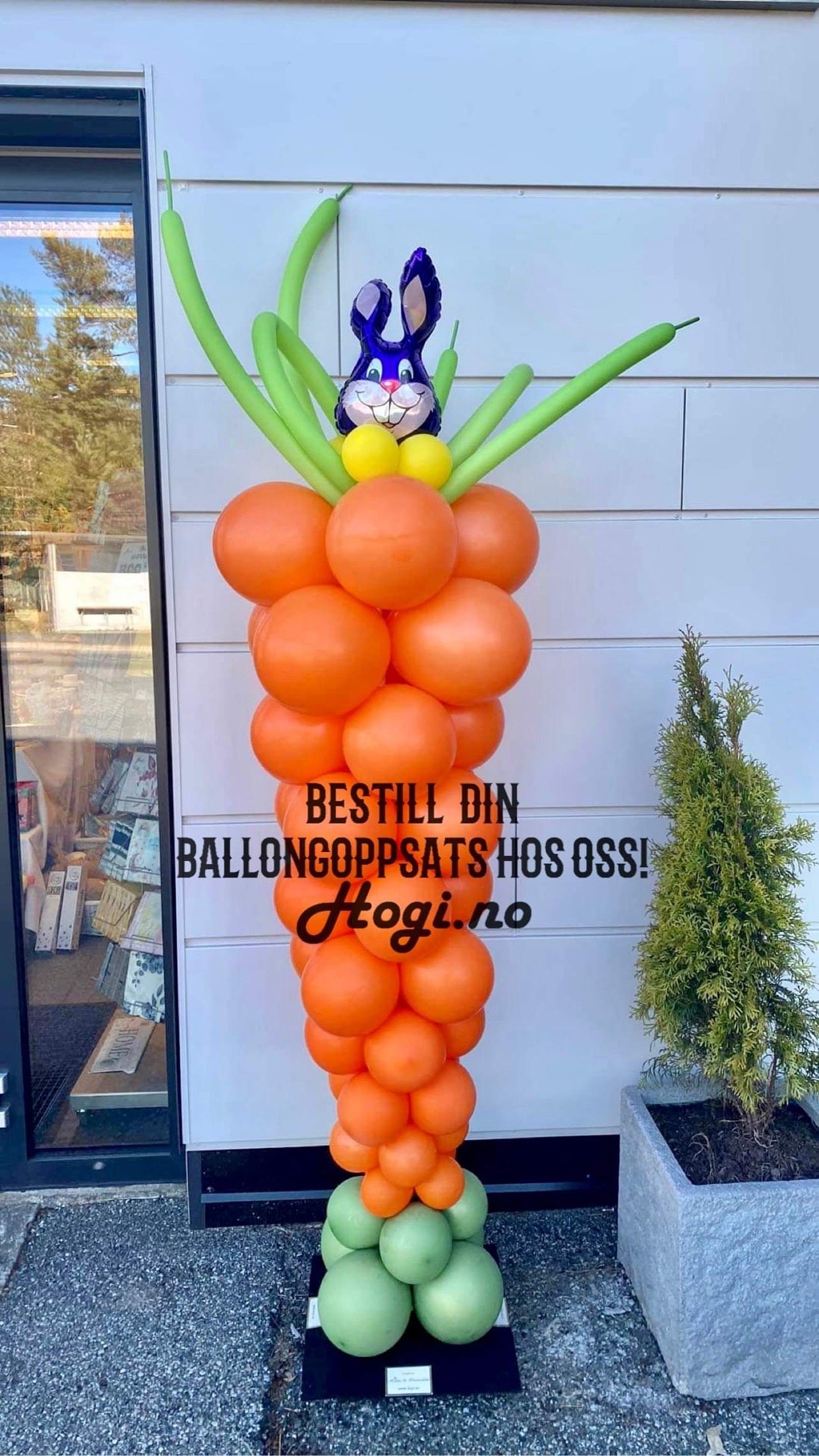 Vi tilbyr ballongsøyler, ballongbuer, ballongringer m.m. Pris vil variere.