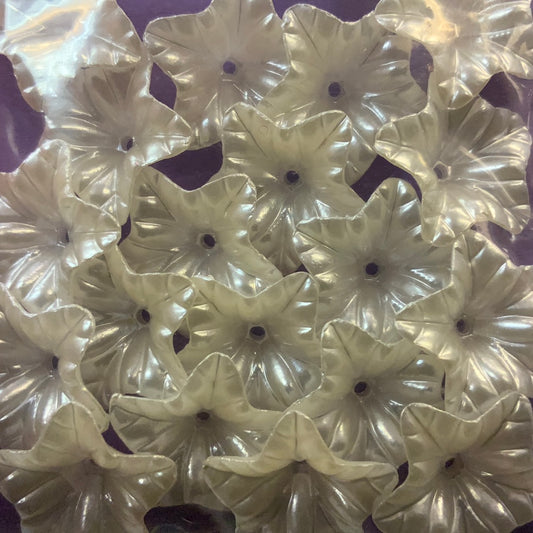 Hogi blomst hvit lilje